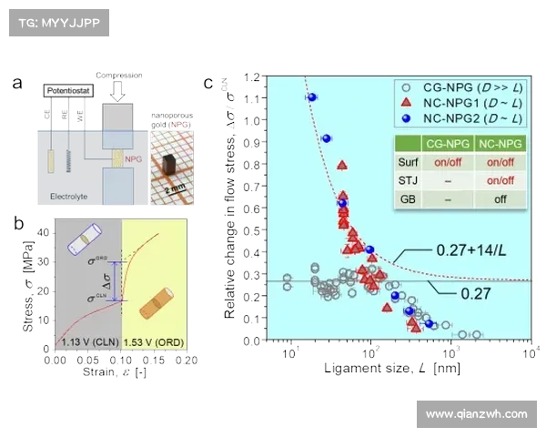 布克在比赛中的强度表现及其对球队胜负的关键影响分析