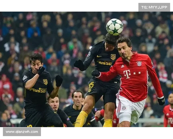 弓箭比赛中常见的10大错误及有效解决方案助你提升竞技水平 弓箭比赛中常见的10大错误及有效解决方案助你提升竞技水平